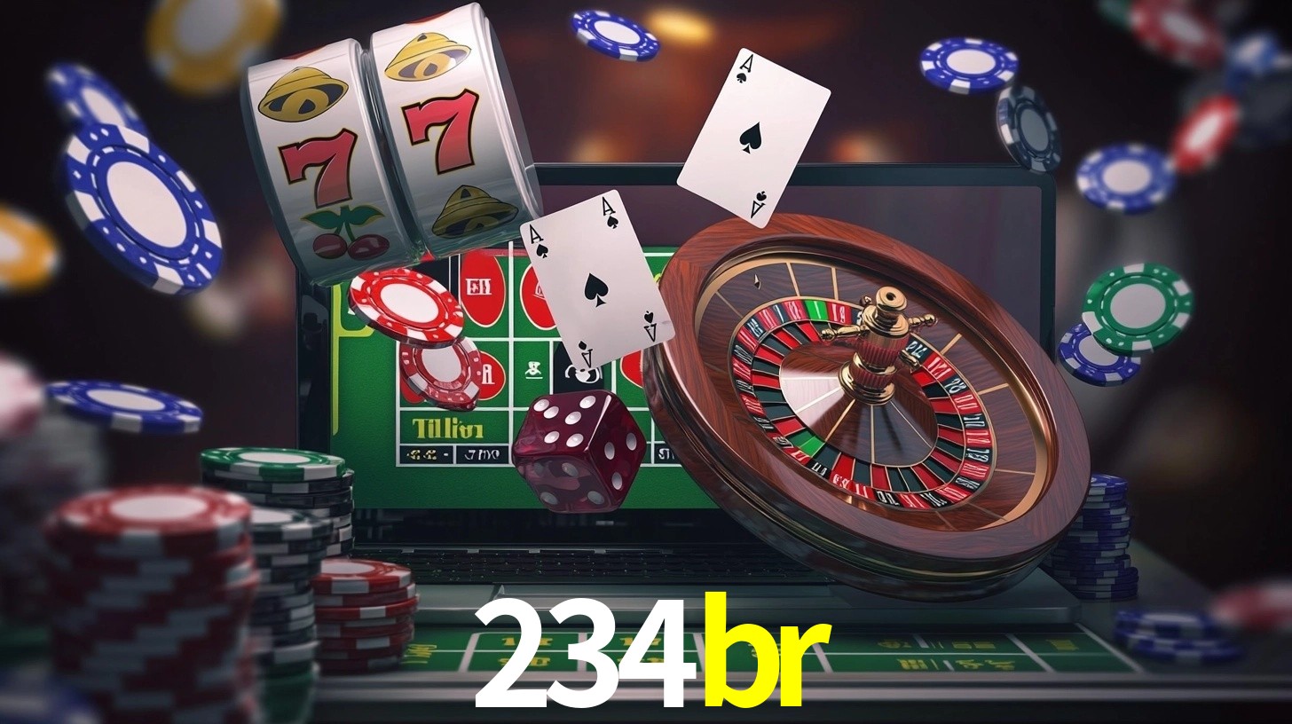 234br App Interface